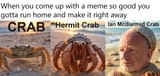 crabs