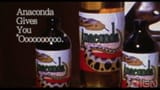 Anaconda