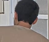 1735984583452006
