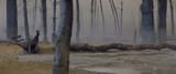 vlcsnap-2025-06-13-23h45m28s514
