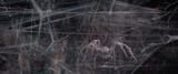 vlcsnap-2025-06-14-00h16m26s426