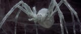 vlcsnap-2025-06-14-00h17m31s400