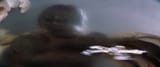 vlcsnap-2025-06-14-00h46m36s537