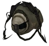 Advisor_hl2_model