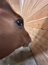 1728433810279891