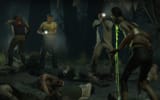 SwampFever_2