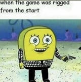 spingebill