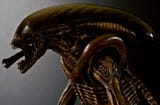 Alien pose 6