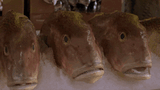 sopranos-fish