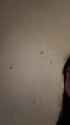 1738267185212 (1)_thumb.jpg