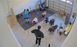 IMG_0599