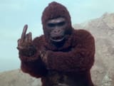 ape you
