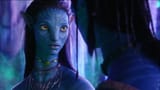 Neytiri_4006