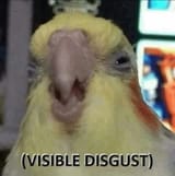 bird_disgust
