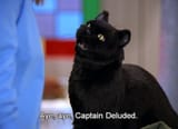captain deluded