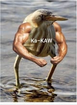 time-to-shotgun-a-couple-of-these-ka-kaw-v0-q35ionxwmyla1
