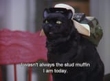 studmuffin