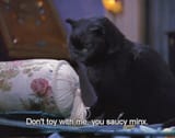 salem-sabrina-14_695x549