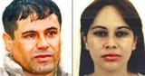 el-chapo-mistress-combo
