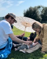 Sarah Gadon Husband Baby