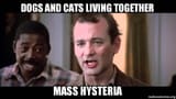 Mass Hysteria