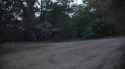 critters rollin&#039;_thumb.jpg