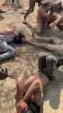pali hamas prisoners_thumb.jpg