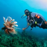 diver-spearfishing-lionfish-royalty-free-image-1696019060