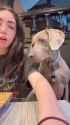 dogtest_thumb.jpg