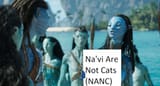 navi are not cats