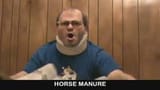 Danny horse manure