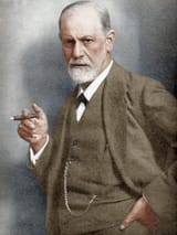 202317-Freud