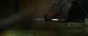 Final Destination 6 Bloodlines 5_thumb.jpg