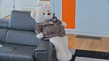 s4bear