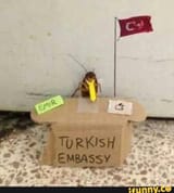 emir