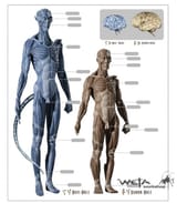 navibio1