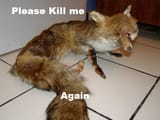 1749070629285896