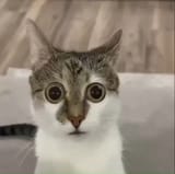1749401280992333