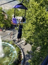 IMG_8252