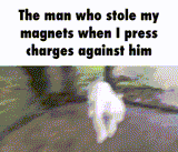 1735508571671144