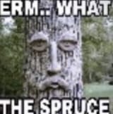 what the spruce