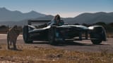cheetah-vs--formula-e-1001x565_0
