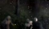 17123987789453798