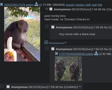1725307989515749