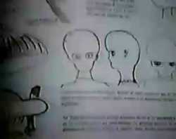 1661504833846301_thumb.jpg