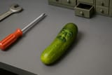 pickle-sam