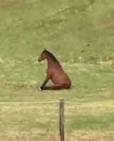 1749006700275754