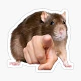 st,small,507x507-pad,600x600,f8f8f8