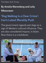 Screenshot_20250616_125500_Chrome
