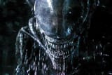 xeno0